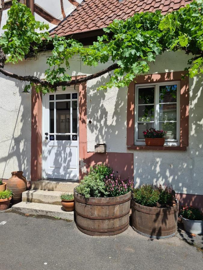 Schoene Ferienwohnung Mit Kamin Neustadt an der Weinstraße Eksteriør billede